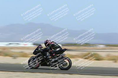 media/Apr-10-2022-SoCal Trackdays (Sun) [[f104b12566]]/Speed Shots Back Straight (930am)/